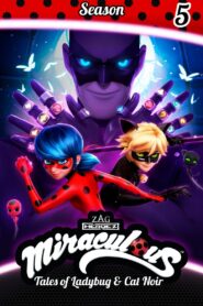 Miraculous: Tales of Ladybug & Cat Noir: Season 5