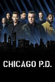 Chicago P.D.: Season 5