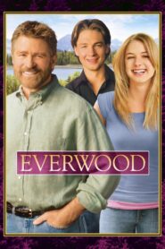 Everwood: Season 4
