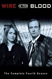 Wire in the Blood: Season 4