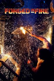 Forged in Fire: Season 4