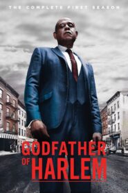 Godfather of Harlem: Season 1