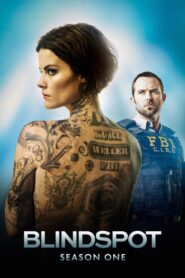 Blindspot: Season 1
