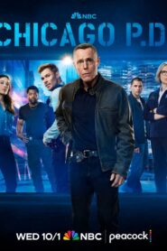 Chicago P.D.: Season 13