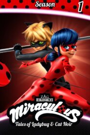 Miraculous: Tales of Ladybug & Cat Noir: Season 1