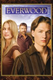 Everwood: Season 3