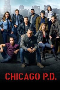 Chicago P.D.: Season 3
