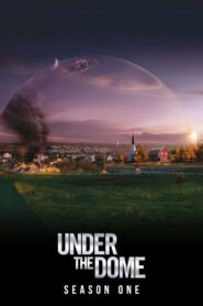 Under the Dome: Season 1
