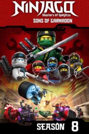 Ninjago: Masters of Spinjitzu: Season 8