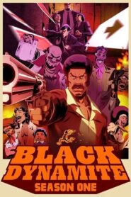 Black Dynamite: Season 1