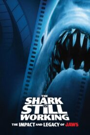 The Shark Is Still Working