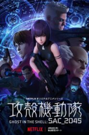 Ghost in the Shell: SAC_2045: Season 1
