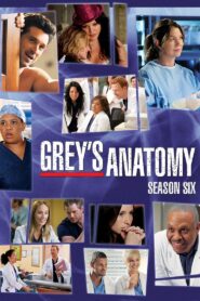 Grey’s Anatomy: Season 6