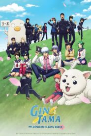 GINTAMA – Mr. Ginpachi’s Zany Class: Season 1
