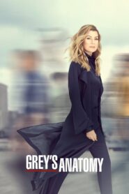 Grey’s Anatomy: Season 16