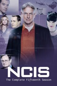 NCIS: Season 15